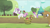 Sweetie Belle bouncing the apple into the tub S2E05