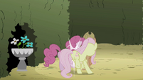 Fluttershy jostling Pinkie Pie S2E01