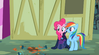 Pinkie Pie and Rainbow Dash avoiding a flowerpot S2E08