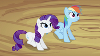 Rarity and Rainbow Dash S2E03