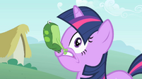 Frog on Twilight's face S1E15