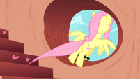 Fluttershy leaves S01E16