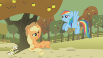 Applejack chewing hay S01E13