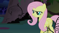Fluttershy listens to the CMC S1E17
