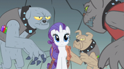 Rarity hears order S1E19