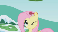 Fluttershy winking with bird on her head S1E11