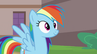 Rainbow Dash Pondering 2 S2E16