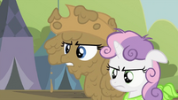 Rarity and Sweetie Belle together S2E05