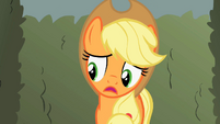 Applejack mistrustful of apple heaps S2E01