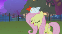 Fluttershy and the chicken S01E17