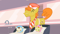 Mr. Cake was a pegasus S2E13