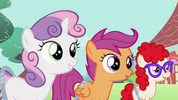 Sweetie Belle, Scootaloo and Twist watching S2E06