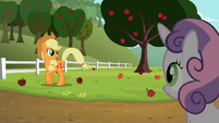 Sweetie Belle looking at Applejack S2E05