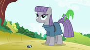 Maud Pie with Gummy biting on her tail S4E18