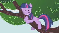 Twilight hugging tree branch S1E11