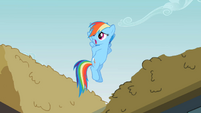 Rainbow Dash 'And I guess' S2E08