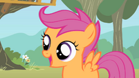 Scootaloo is happy S1E18