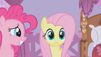 Fluttershy its... S01E14