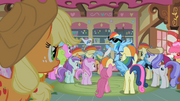 Applejack looking at famous Rainbow Dash S2E8