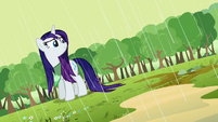 Rarity wet mane S2E05