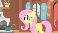 Fluttershy hmm2 S01E22