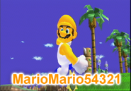 MarioMario54321 in Super Smash Bros. Brawl.