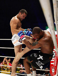 shogun rua pride