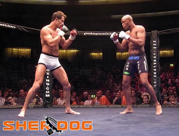 Anderson Silva vs. Lee Murray | MMABouts Wiki | Fandom
