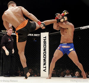 Overeem belfort