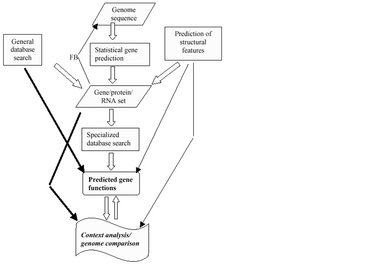 Genome annotation