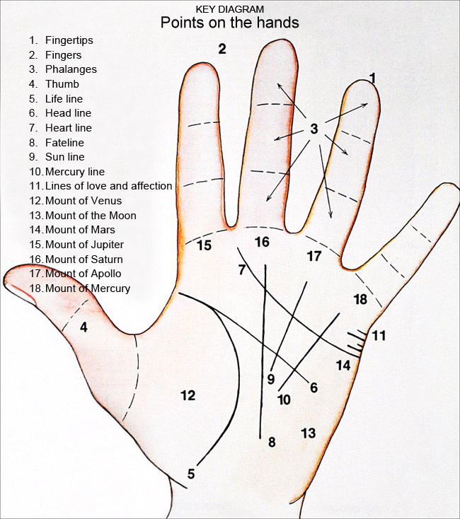 palm hand reading