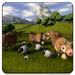 Farm Frenzy