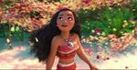 Moana-leaves-circle