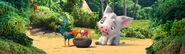 Heihei and Pua