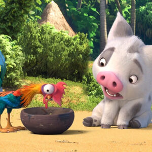 Pua Gallery Moana Wikia Fandom Pua Gallery Moana Wikia Fandom
