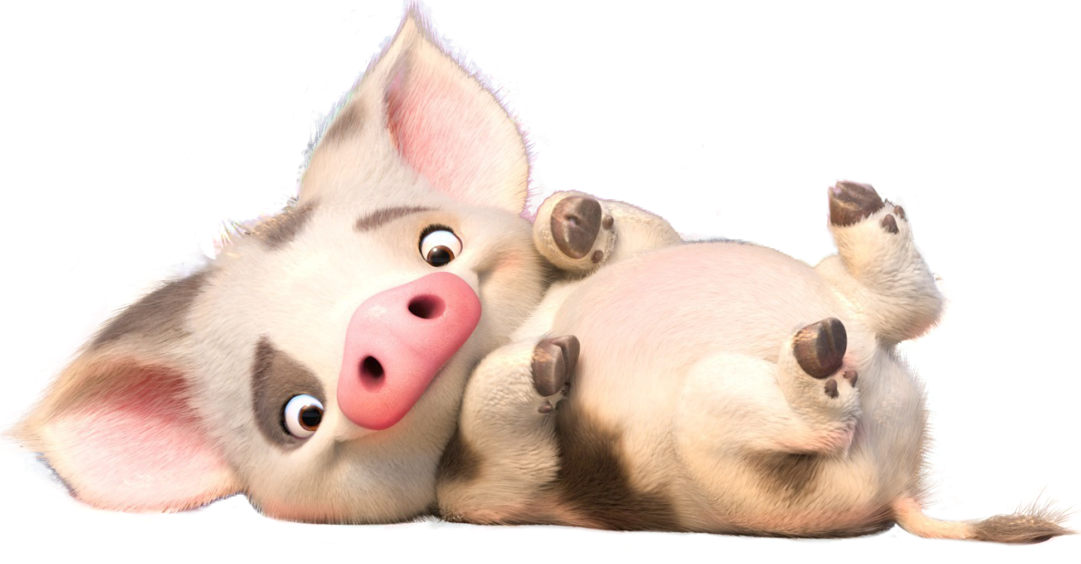 Pua Gallery Moana Wikia Fandom Pua Gallery Moana Wikia Fandom