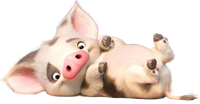 Pua