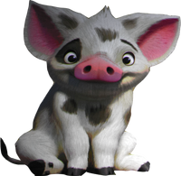 Pua