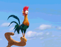 Heihei Gallery Moana Wikia Fandom Heihei Gallery Moana Wikia Fandom
