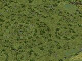 Contagion Challenge