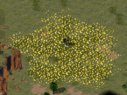 Ore