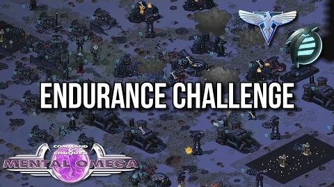 Enduring the Endurance Challenge