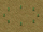 Infector