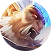 M Pass