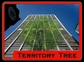 Territory_Tree