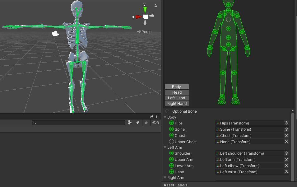 I Uploaded a Sample Armature That is Made to Work with Unity's Humanoid Rig  : r/Unity3D