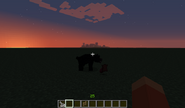 Black bear killed cow