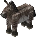 A zonkey.