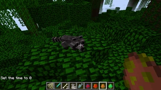 Raccoon - Official Mo' Creatures Wiki