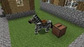 A zebra 'shuffling'.